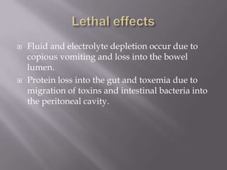  Fluid and electrolyte depletion occur due to
copious vomiting and loss into the bowel
lumen.
 Protein loss into the gut and toxemia due to
migration of toxins and intestinal bacteria into
the peritoneal cavity.
 