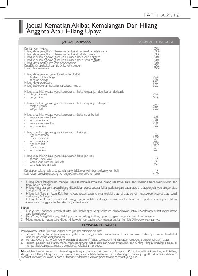 Patina 2016 Brochure