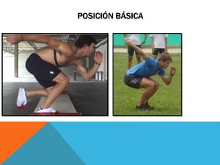POSICIÓN BÁSICA
 