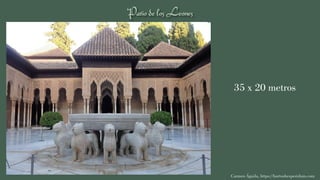 Carmen Águila, https://hortushesperidum.com
35 x 20 metros
 