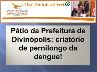 Trabalho da Comissão de Saúde  Dra. Heloisa Cerri Pátio da Prefeitura de Divinópolis: criatório de pernilongo da dengue! 