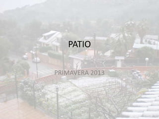 PATIO
PRIMAVERA 2013
 