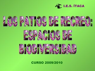LOS PATIOS DE RECREO: ESPACIOS DE BIODIVERSIDAD I.E.S. ÍTACA CURSO 2009/2010 