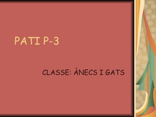 PATI P-3

    CLASSE: ÀNECS I GATS
 
