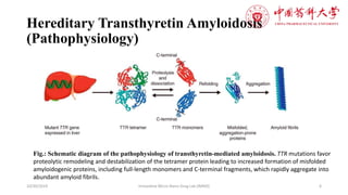 Hattr Patisiran in Hereditary Transthyretin Amyloidosis (hATTR) | PPTX