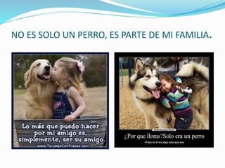 NO ES SOLO UN PERRO, ES PARTE DE MI FAMILIA.