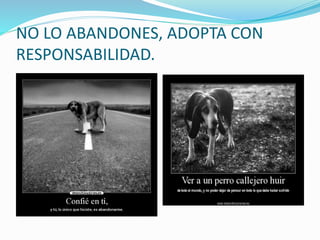 NO LO ABANDONES, ADOPTA CON
RESPONSABILIDAD.