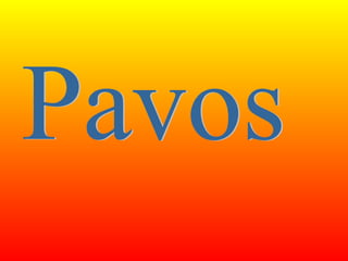 Pavos 