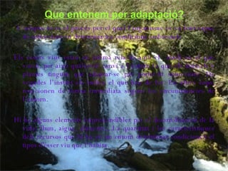 Que entenem per adaptació? L’adaptació es el procés per el qual l’organisme es va fent capaç de sobreviure en determinades condicions ambientals Els éssers vius estan en intima relació amb el  medi en el que viuen, per això qualsevol canvi a l’entorn fa que els animals y plantes tinguin que adaptar-se per poder-hi sobreviure. De vegades l’instint els indica el que han de fer. En altres cops, reaccionen de forma immediata segons les circumstancies de l’entorn. Hi ha alguns elements imprescindibles per el desarrollament de la vida: llum, aigua, aliments....La quantitat i les característiques dels recursos que hi ha en un entorn determinat condicionen el tipus d'ésser viu que l’habita.   
