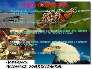 Tipus d’essers vius   Els éssers vius es poden classificar segons el medi en el que millor es desenvolupen . Els animals es distingeixen en tres grups: Terrestres : Conten amb potes per desplaçar-se per terra, pulmons per respirar oxigen i una pell que els protegeix del clima . Aquàtics : Tenen aletes, escames, formes allargades i brànquies per respirar sota l’aigua. Aeris : Tenen ales i ossos buits, mes lleugers, que li permet volar. 