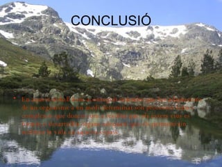 CONCLUSIÓ En aquest treball hem aconseguit entendre que las adaptacions de un organisme a un medi determinat són processos lents i complexos que donen com a resultat que els éssers vius es formin o desarrollin òrgans adequats que els permeteixin realitzar la vida en aquests espais. 