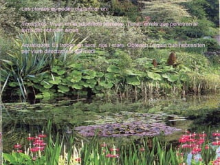 Les plantes es poden classificar en: Terrestres: Viuen en la superficie terrestre. Tenen arrels que penetren al terra per obtindre aigua Aquatiques: Es troben en llacs, rius i mars. Obtenen l’aiguia que necessiten per viure directament del medi. 