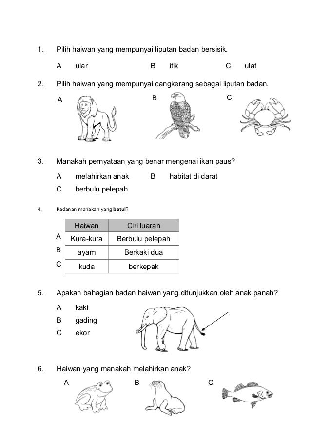 Peperiksaan Soalan Sains Tahun 3  Peperiksaan