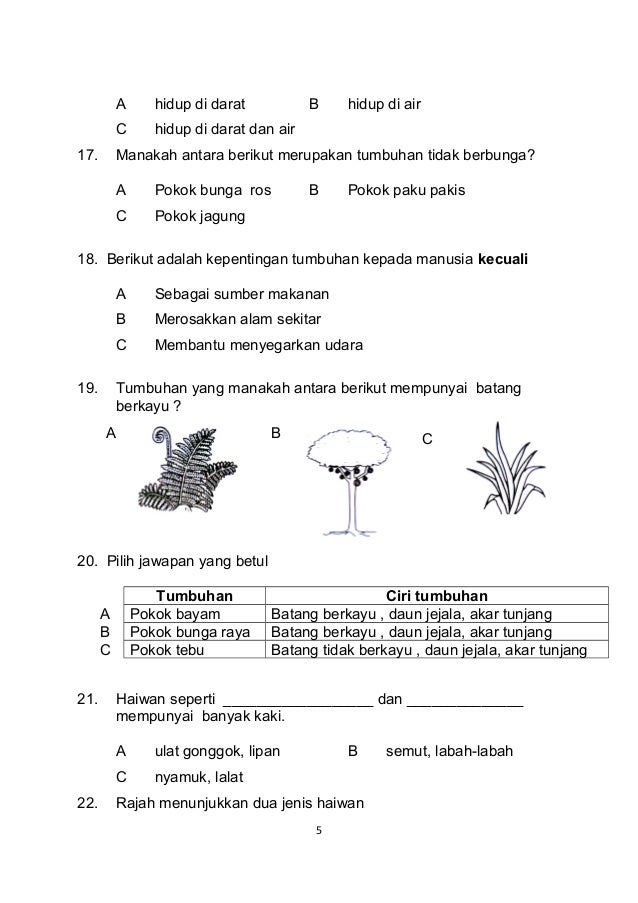 Peperiksaan Akhir Sains Tahun 3 Kertas 1