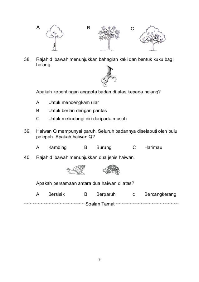 Peperiksaan Akhir Sains Tahun 3 Kertas 1