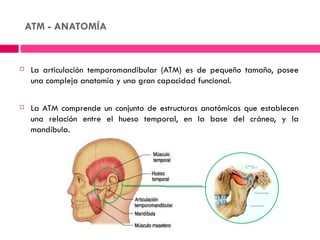 ATM - ANATOMÍA


    La articulación temporomandibular (ATM) es de pequeño tamaño, posee
     una compleja anatomía y una gran capacidad funcional.

    La ATM comprende un conjunto de estructuras anatómicas que establecen
     una relación entre el hueso temporal, en la base del cráneo, y la
     mandíbula.
 