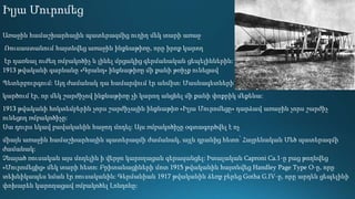Իլյա Մուրոմեց
Առաջին համաշխարհային պատերազմից ուղիղ մեկ տարի առաջ
Ռուսաստանում հայտնվեց առաջին ինքնաթիռը, որը իրոք կարող
էր դառնալ ուժեղ ռմբակոծիչ և լինել մրցակից գերմանական ցեպելիններին:
1913 թվականի գարնանը «Գրանդ» ինքնաթիռը մի քանի թռիչք ունեցավ
Պետերբուրգում: Այդ ժամանակ դա համարվում էր անմիտ: Մասնագետների մեծամասնությունը
կարծում էր, որ մեկ շարժիչով ինքնաթիռը չի կարող անցնել մի քանի փոքրիկ մեքենա:
1913 թվականի հոկտեմբերին չորս շարժիչային ինքնաթիռ «Իլյա Մուրոմեցը» դարձավ առաջին չորս շարժիչ
ունեցող ռմբակոծիչը:
Սա դուրս եկավ բավականին հաջող մոդել: Այս ռմբակոծիչը օգտագործվել է ոչ
միայն առաջին համաշխարհային պատերազմի ժամանակ, այլև դրանից հետո՝ Հայրենական Մեծ պատերազմի
ժամանակ:
Չնայած ռուսական այս մոդելին ի վերջո կարողացան գերազանցել: Իտալական Caproni Ca.1-ը բաց թողնվեց
«Մուրոմեցից» մեկ տարի հետո: Բրիտանացիների մոտ 1915 թվականին հայտնվեց Handley Page Type O-ը, որը
տեխնիկապես նման էր ռուսականին: Գերմանիան 1917 թվականին ձեռք բերեց Gotha G.IV-ը, որը արդեն ցեպելինի
փոխարեն կարողացավ ռմբակոծել Լոնդոնը:
 