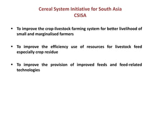 Livestock sector development in Bihar: ILRI’s interests and plans 