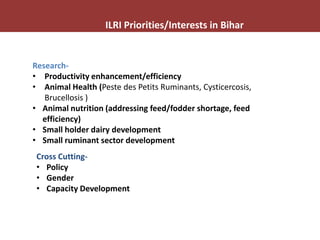 Livestock sector development in Bihar: ILRI’s interests and plans 