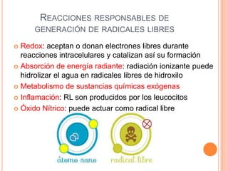 REACCIONES RESPONSABLES DE
GENERACIÓN DE RADICALES LIBRES
Redox: aceptan o donan electrones libres durante
reacciones intracelulares y catalizan así su formación
 Absorción de energía radiante: radiación ionizante puede
hidrolizar el agua en radicales libres de hidroxilo
 Metabolismo de sustancias químicas exógenas
 Inflamación: RL son producidos por los leucocitos
 Óxido Nítrico: puede actuar como radical libre


 