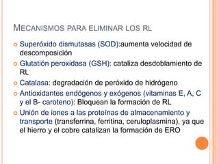 MECANISMOS PARA ELIMINAR LOS RL
Superóxido dismutasas (SOD):aumenta velocidad de
descomposición
 Glutatión peroxidasa (GSH): cataliza desdoblamiento de
RL
 Catalasa: degradación de peróxido de hidrógeno
 Antioxidantes endógenos y exógenos (vitaminas E, A, C
y el B- caroteno): Bloquean la formación de RL
 Unión de iones a las proteínas de almacenamiento y
transporte (transferrina, ferritina, ceruloplasmina), ya que
el hierro y el cobre catalizan la formación de ERO


 