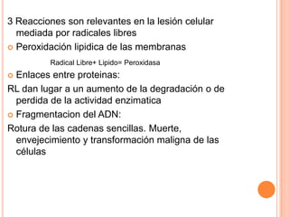 3 Reacciones son relevantes en la lesión celular
mediada por radicales libres
 Peroxidación lipidica de las membranas
Radical Libre+ Lipido= Peroxidasa

Enlaces entre proteinas:
RL dan lugar a un aumento de la degradación o de
perdida de la actividad enzimatica
 Fragmentacion del ADN:
Rotura de las cadenas sencillas. Muerte,
envejecimiento y transformación maligna de las
células


 