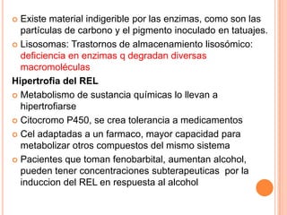 Existe material indigerible por las enzimas, como son las
partículas de carbono y el pigmento inoculado en tatuajes.
 Lisosomas: Trastornos de almacenamiento lisosómico:
deficiencia en enzimas q degradan diversas
macromoléculas
Hipertrofia del REL
 Metabolismo de sustancia químicas lo llevan a
hipertrofiarse
 Citocromo P450, se crea tolerancia a medicamentos
 Cel adaptadas a un farmaco, mayor capacidad para
metabolizar otros compuestos del mismo sistema
 Pacientes que toman fenobarbital, aumentan alcohol,
pueden tener concentraciones subterapeuticas por la
induccion del REL en respuesta al alcohol


 