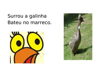 Surrou a galinha Bateu no marreco.