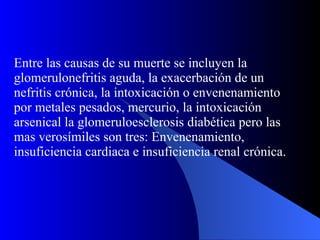 Entre las causas de su muerte se incluyen la glomerulonefritis aguda, la exacerbación de un nefritis crónica, la intoxicación o envenenamiento por metales pesados, mercurio, la intoxicación arsenical la glomeruloesclerosis diabética pero las mas verosímiles son tres: Envenenamiento, insuficiencia cardiaca e insuficiencia renal crónica. 