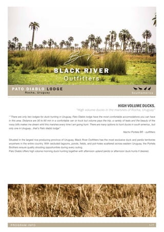 S o u t h a m e r i c a
“High volume ducks in the marshes of Rocha, Uruguay”
HIGH VOLUME DUCKS.
B L A C K R I V E R
O u t f i t t e r s
P R O G R A M I N F O 1 / 7
'''There are only two lodges for duck hunting in Uruguay, Pato Diablo lodge have the most confortable accomodations you can have
in this area. Distance are 30 to 60 min in a confortable van or truck but volume pays the trip, a variety of teals and the beauty of the
rossy bills makes me dream whit this marshes every time I am going hunt. There are many options to hunt ducks in south america , but
only one in Uruguay , that's Pato diablo lodge”
Situated in the largest rice producing province of Uruguay, Black River Outfitters has the most exclusive duck and perdiz territories
anywhere in the entire country. With secluded lagoons, ponds, fields, and pot-holes scattered across eastern Uruguay, the Portela
Brothers ensure quality shooting opportunities during every outing.
Pato Diablo offers high volume morning duck hunting together with afternoon upland perdiz or afternoon duck hunts if desired.
Nacho Portela BR - outﬁtters
R o c h a , U r u g u a y
P AT O D I A B L O L O D G E
 
