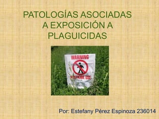 PATOLOGÍAS ASOCIADAS
    A EXPOSICIÓN A
     PLAGUICIDAS




      Por: Estefany Pérez Espinoza 236014
 