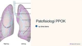 Patofisiologi PPOK
by Orita Satria
 