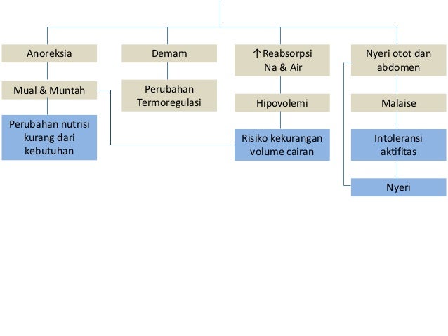 Obat Kekurangan Zat Kapur  Klik Herbal Page