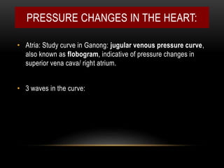 PRESSURE CHANGES IN THE HEART:
• Atria: Study curve in Ganong: jugular venous pressure curve,
also known as flobogram, indicative of pressure changes in
superior vena cava/ right atrium.
• 3 waves in the curve:
 
