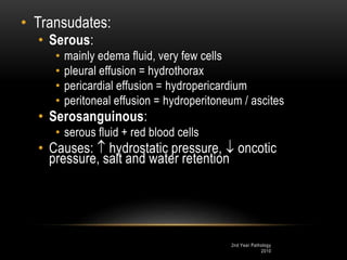 2nd Year Pathology
2010
• Transudates:
• Serous:
• mainly edema fluid, very few cells
• pleural effusion = hydrothorax
• pericardial effusion = hydropericardium
• peritoneal effusion = hydroperitoneum / ascites
• Serosanguinous:
• serous fluid + red blood cells
• Causes:  hydrostatic pressure,  oncotic
pressure, salt and water retention
 
