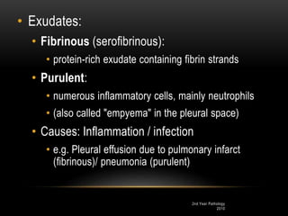 2nd Year Pathology
2010
• Exudates:
• Fibrinous (serofibrinous):
• protein-rich exudate containing fibrin strands
• Purulent:
• numerous inflammatory cells, mainly neutrophils
• (also called "empyema" in the pleural space)
• Causes: Inflammation / infection
• e.g. Pleural effusion due to pulmonary infarct
(fibrinous)/ pneumonia (purulent)
 