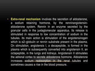 • Extra-renal mechanism involves the secretion of aldosterone,
a sodium retaining hormone, by the renninangiotensin-
aldosterone system. Rennin in an enzyme secreted by the
granular cells in the juxtaglomerular apparatus. Its release is
stimulated in response to low concentration of sodium in the
tubules. Its main action is stimulation of the angiotensinogen
which is α2–globulin or rennin substrate present in the plasma.
On stimulation, angiotensis I, a decapeptide, is formed in the
plasma which is subsequently converted into angiotensin II, an
octapeptide, in the lungs and kidneys. Angiotensin II stimulates
the adrenal cortex to secrete aldosterone hormone. Aldosterone
increases sodium reabsorption in the renal tubules and
sometimes causes a rise in the blood pressure.
 