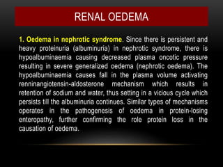 1. Oedema in nephrotic syndrome. Since there is persistent and
heavy proteinuria (albuminuria) in nephrotic syndrome, there is
hypoalbuminaemia causing decreased plasma oncotic pressure
resulting in severe generalized oedema (nephrotic oedema). The
hypoalbuminaemia causes fall in the plasma volume activating
renninangiotensin-aldosterone mechanism which results in
retention of sodium and water, thus setting in a vicious cycle which
persists till the albuminuria continues. Similar types of mechanisms
operates in the pathogenesis of oedema in protein-losing
enteropathy, further confirming the role protein loss in the
causation of oedema.
RENAL OEDEMA
 