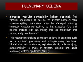 • Increased vascular permeability (Irritant oedema). The
vascular endothelium as well as the alveolar epithelial cells
(alveolo-capillary membrane) may be damaged causing
increased vascular permeability so that excessive fluid and
plasma proteins leak out, initially into the interstitium and
subsequently into the alveoli.
• This mechanism explains pulmonary oedema in examples such
as in fulminant pulmonary and extrapulmonary infections,
inhalation of toxic substances, aspiration, shock, radiation injury,
hypersensitivity to drugs or antisera, uraemia and adult
respiratory distress syndrome (ARDS).
PULMONARY OEDEMA
 