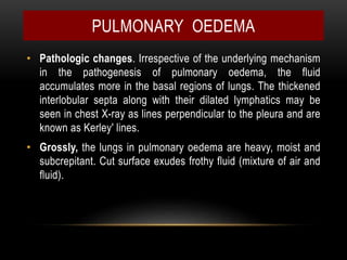 • Pathologic changes. Irrespective of the underlying mechanism
in the pathogenesis of pulmonary oedema, the fluid
accumulates more in the basal regions of lungs. The thickened
interlobular septa along with their dilated lymphatics may be
seen in chest X-ray as lines perpendicular to the pleura and are
known as Kerley' lines.
• Grossly, the lungs in pulmonary oedema are heavy, moist and
subcrepitant. Cut surface exudes frothy fluid (mixture of air and
fluid).
PULMONARY OEDEMA
 