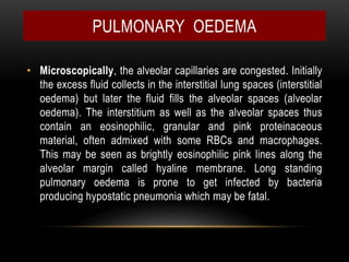 • Microscopically, the alveolar capillaries are congested. Initially
the excess fluid collects in the interstitial lung spaces (interstitial
oedema) but later the fluid fills the alveolar spaces (alveolar
oedema). The interstitium as well as the alveolar spaces thus
contain an eosinophilic, granular and pink proteinaceous
material, often admixed with some RBCs and macrophages.
This may be seen as brightly eosinophilic pink lines along the
alveolar margin called hyaline membrane. Long standing
pulmonary oedema is prone to get infected by bacteria
producing hypostatic pneumonia which may be fatal.
PULMONARY OEDEMA
 