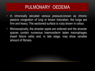 • In chronically elevated venous pressure,known as chronic
passive congestion of lung or brown induration, the lungs are
firm and heavy. The sectioned surface is rusty brown in colour.
• Microscopically, the alveolar septa are widened and the alveolar
spaces contain numerous haemosiderin laden macrophages
(heart failure cells) and, in late stage, may show variable
amount of fibrosis.
PULMONARY OEDEMA
 