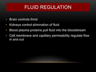 FLUID REGULATION
• Brain controls thirst
• Kidneys control elimination of fluid
• Blood plasma proteins pull fluid into the bloodstream
• Cell membrane and capillary permeability regulate flow
in and out
 