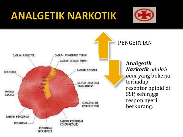 Patofisiologi nyeri demam serta obat analgetik Patofisiologi nyeri demam serta obat analgetik