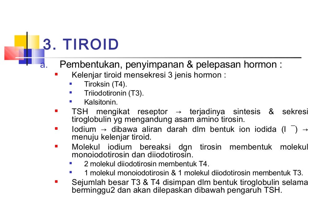 Patofisiologi Sistem Endokrin 2