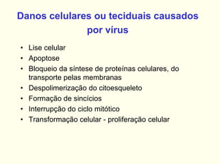 Danos celulares ou teciduais causados
por vírus
• Lise celular
• Apoptose
• Bloqueio da síntese de proteínas celulares, do
transporte pelas membranas
• Despolimerização do citoesqueleto
• Formação de sincícios
• Interrupção do ciclo mitótico
• Transformação celular - proliferação celular
 