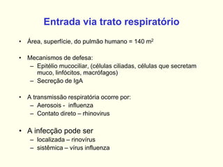 Entrada via trato respiratório
• Área, superfície, do pulmão humano = 140 m2
• Mecanismos de defesa:
– Epitélio mucociliar, (células ciliadas, células que secretam
muco, linfócitos, macrófagos)
– Secreção de IgA
• A transmissão respiratória ocorre por:
– Aerosois - influenza
– Contato direto – rhinovirus
• A infecção pode ser
– localizada – rinovírus
– sistêmica – vírus influenza
 