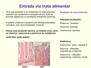 Entrada via trato alimentar
Exemplos de vírus entéricos
Infecções localizadas:
Rotavírus - diarréias
Norovírus- diarréias
Coronavírus- diarréias
Sistêmicos
Enterovírus - pólio - hepatite A
Reovírus - infecções
respiratórias e entéricas
Adenovírus - infecções
respiratórios, entéricas, renais
• Virus que penetram e se multiplicam no trato alimentar
precisam ser resistentes a variações de pH, ação de
enzimas digestivas e a condições ambientais extremas.
• O epitelio intestinal é recoberto por células polarizadas,
colunares, com microvilosidades. microvilli.
• Parece uma excelente barreira, no entanto vírus como
os rotavírus, adenovírus e poliovírus se multiplicam
muito bem neste epitélio.
 