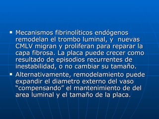 Mecanismos fibrinolíticos endógenos remodelan el trombo luminal, y  nuevas CMLV migran y proliferan para reparar la capa fibrosa. La placa puede crecer como resultado de episodios recurrentes de inestabilidad, o no cambiar su tamaño. Alternativamente, remodelamiento puede expandir el diametro externo del vaso “compensando” el mantenimiento de del area luminal y el tamaño de la placa. 