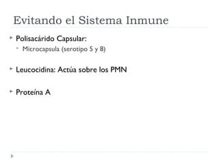 Evitando el Sistema Inmune
   Polisacárido Capsular:
       Microcapsula (serotipo 5 y 8)

   Leucocidina: Actúa sobre los PMN

   Proteína A
 